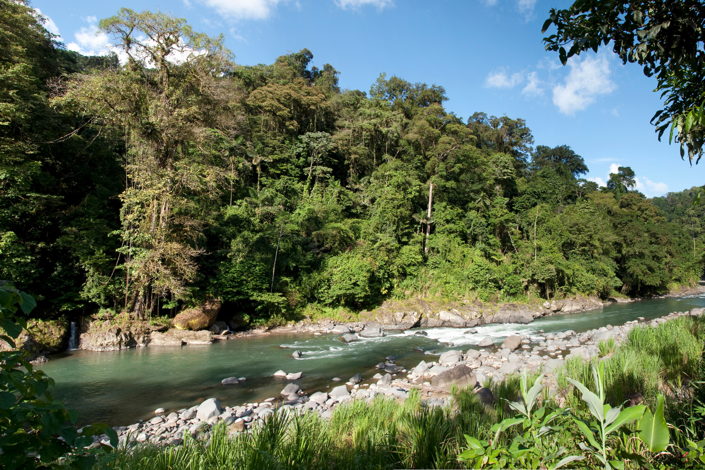 pacuare river, limon 01.webp